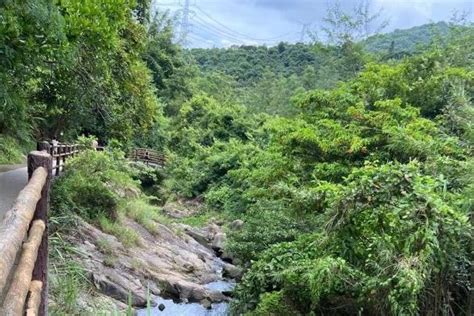 深圳的山|深圳出名的16座山的最详细实用爬山攻略